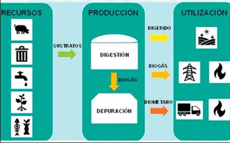 PUBLICACIÓN  ORDENES MINISTERIALES AYUDAS  PROYECTOS DE REDES DE CALOR Y FRÍO CON FUENTES DE ENERGÍA RENOVABLES E INSTALACIONES SINGULARES PARA LA PRODUCCIÓN DE BIOGÁS