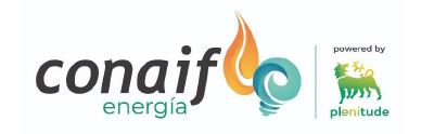 Formación On Line CONAIF ENERGÍA. Actual situación de mercado y como usar las tarifas indexadas.
