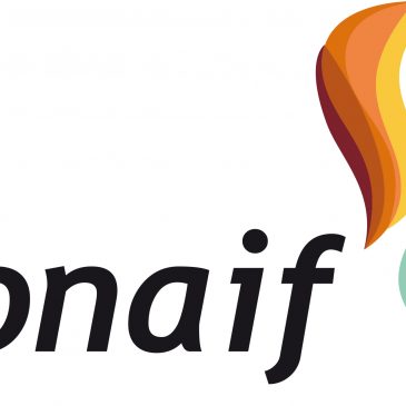 Varias entidades vinculadas a las instalaciones de agua presentan una propuesta de regulación de la fontanería en el nuevo Código Técnico de la Edificación